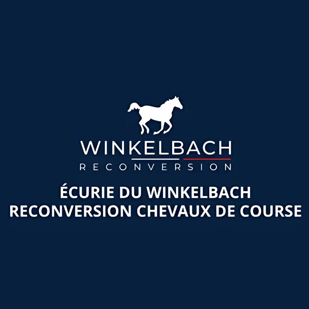 entreprise-engagee-soutien-sponsor-evenement-saverne-alsace_1